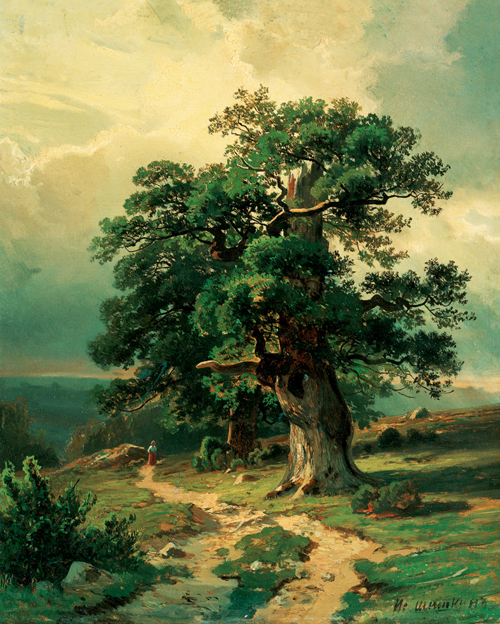  伊凡·伊凡诺维奇·希施金 Ivan I. Shishkin —— Ivan Shishkin-044